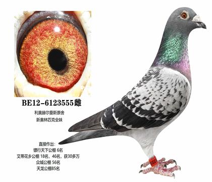 母:新奥林匹克全妹