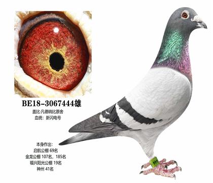 �������������