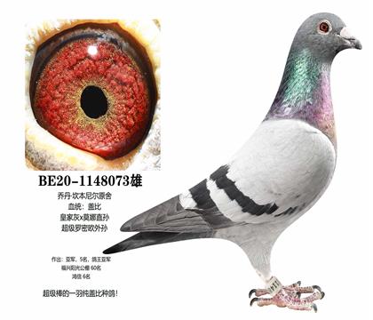 �����ǱȻʼһ�Ī��ֱ��