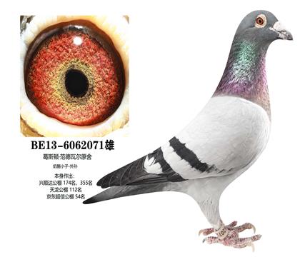 ��������С������