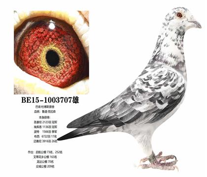 ����³�����ιھ�