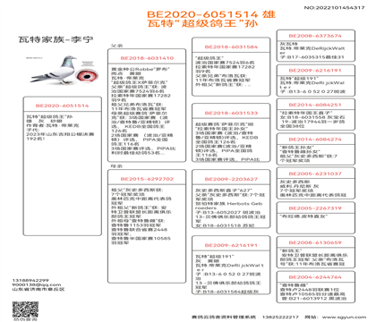 父亲血统书翻译