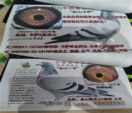 外祖父、外祖母