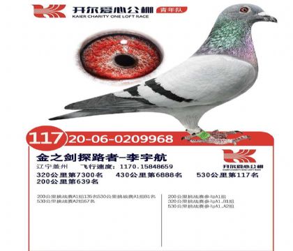 �����������밮�Ĺ������ӣ�530�������117��  ��	