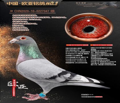 电脑X桑杰士116X电脑926直女457