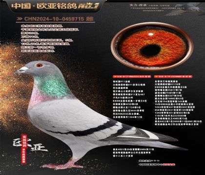 保时捷911血统555X保时捷889