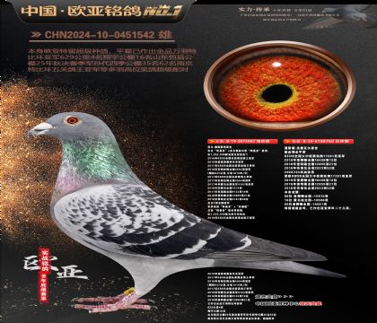 乔尔佛斯豪特原舍987X葛斯顿原舍760