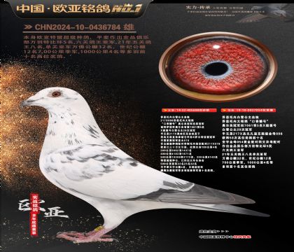 乔斯托内白雪公主698X054