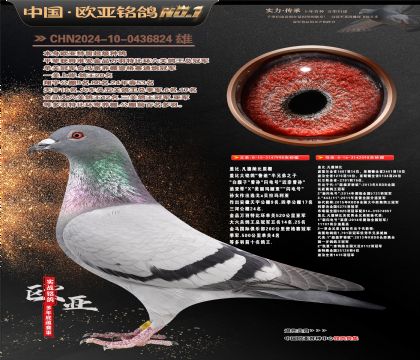 盖比原舍鲁迪998X鲁迪直女098