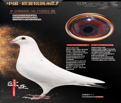 乔思托内白雪公主原舍884X697