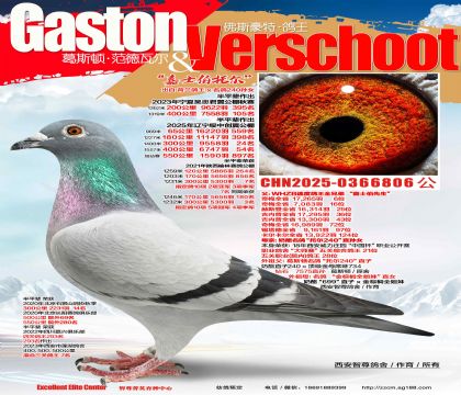 ������ظ���ֱ��