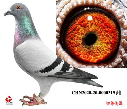 ��������098��Ů