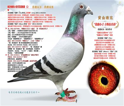 ���ף�098ֱ��