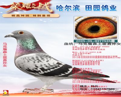 ����ղɭ����ֱ��Ů