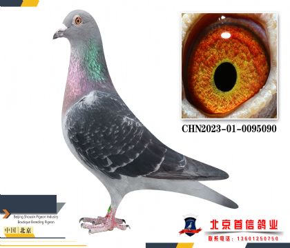 �ɸ�2023-01-0095090