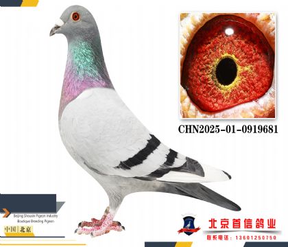 ������CHN2025-01-0919681