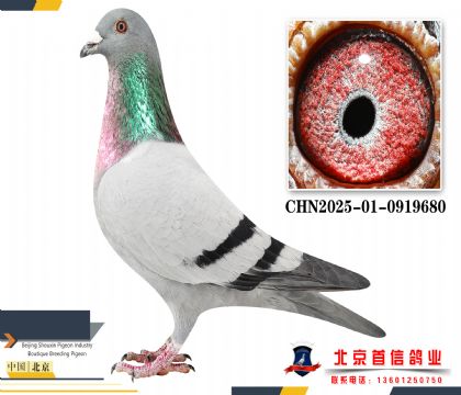 ������CHN2025-01-0919680