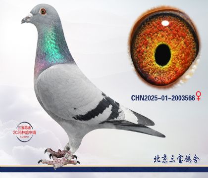 3.���ֿ�˹x����.2003566