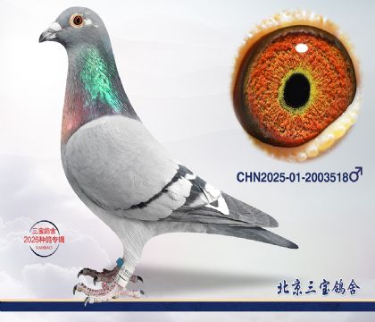 10.����396��Ѫ.2003518