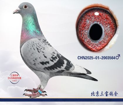 14.����396��Ѫq.2003564