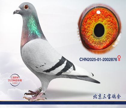 2.����x����x���Ƕ���.2002876