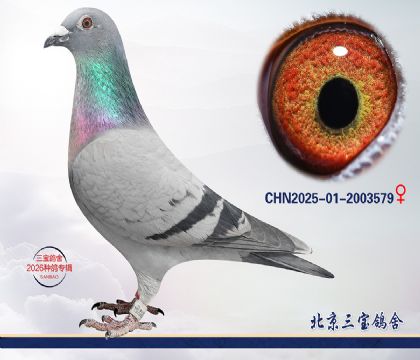 14.����396��Ѫq.2003579