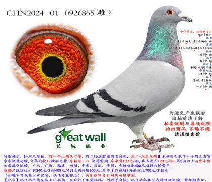 2.��ʱ��x��ȱ��.0926865