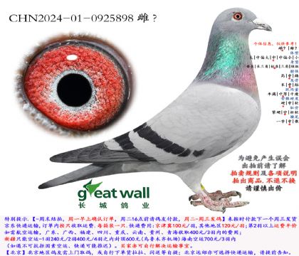 3.���ٰ����.0925898