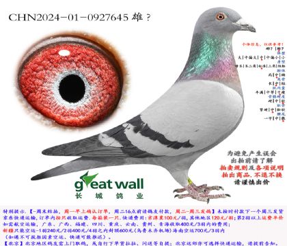 4.�ǱȽ�Ѫ.0927645