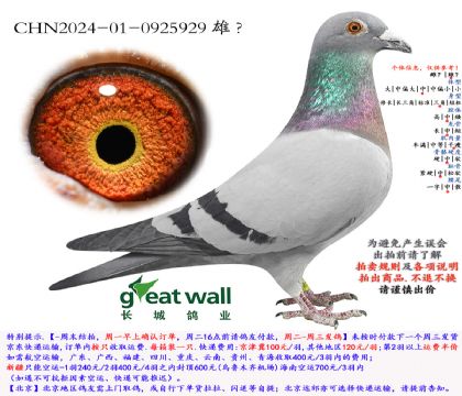 5.�����������Ӵ�.0925929