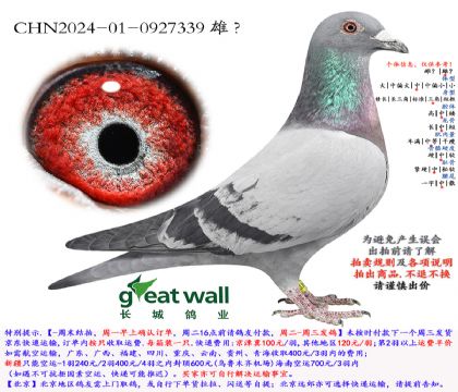 6.������ķ�ȷ����.0927339