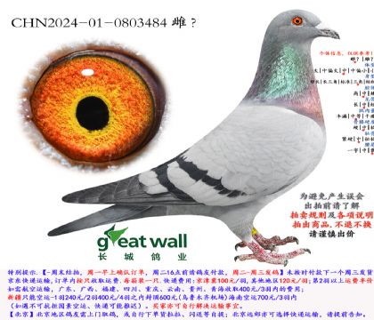 7.����Ѫϵ.0803484