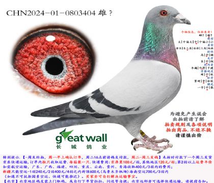 13.ͼ��˹003���.0803404