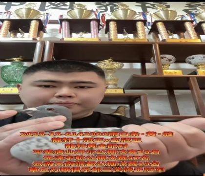 �����ƽ���ԣ�ʮ����X�����