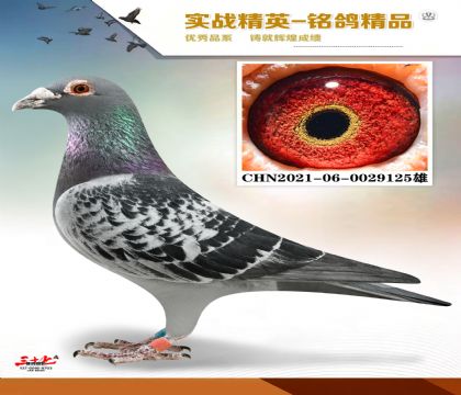 �����ϻ���  500����7��