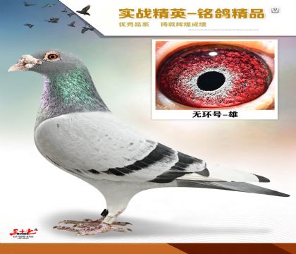 ������䷲��