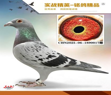 �����ϻ�����ɣ��ʿ