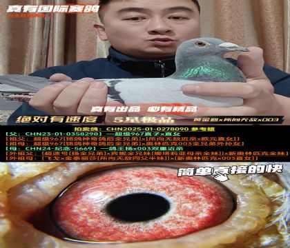 《绝对有速度》黄金雌x所向无敌x003