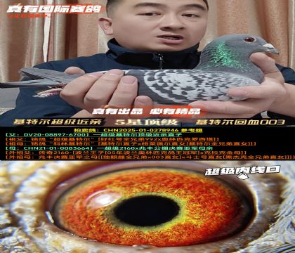 《冠军和多羽高位全平辈》基特尔回血003