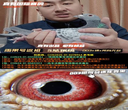 《雨果号返祖遗传》003x扬x所向无敌