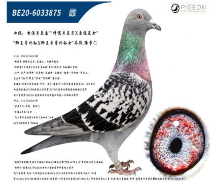 ��˹���ŵ�����ֱŮ����ƣ�