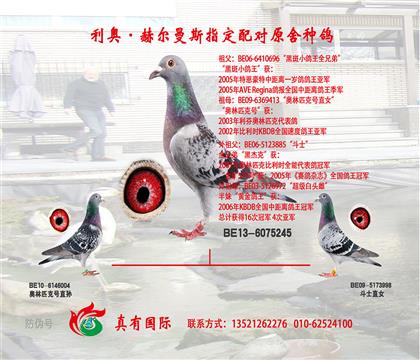 兆丰决赛亚军之母