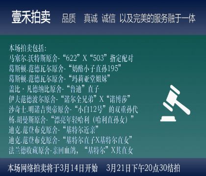 ��ǰ�����Ķ���˵��