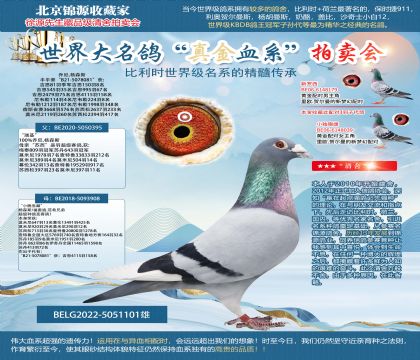 ����.��ɭ˹ԭ��-�������X��С�����ơ�