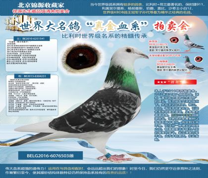 ������.����˹ԭ��-�����Ϻš�X������ƥ�˲�����ȫ���á�