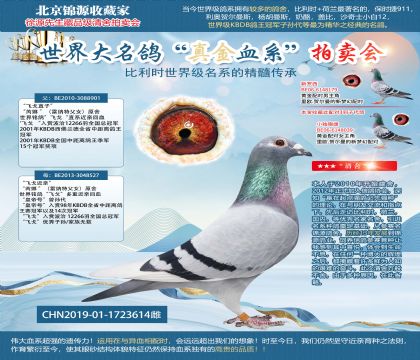 ��߱��ɸ�ֱ��XֱŮ19-1723614��