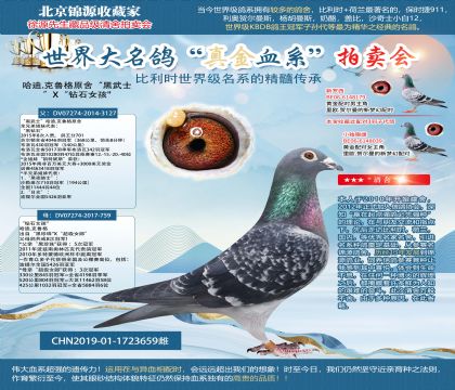 ����.��³�񡰺���ʿ��X����ʯŮ����19-1723659��