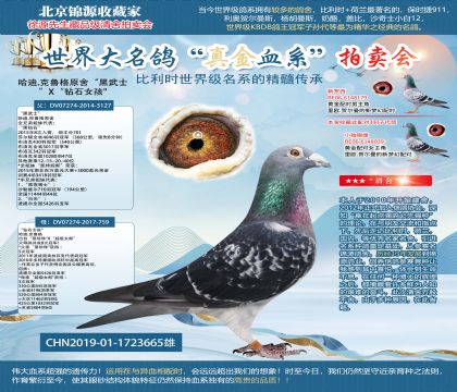 ����.��³�񡰺���ʿ��X����ʯŮ����19-1723665��