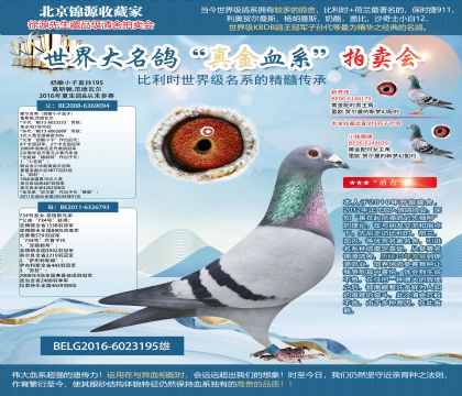 ����ԭ��-����С��ֱ��195