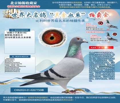 ��������ԭ��-��195��X��124��ֱŮ24-0267750